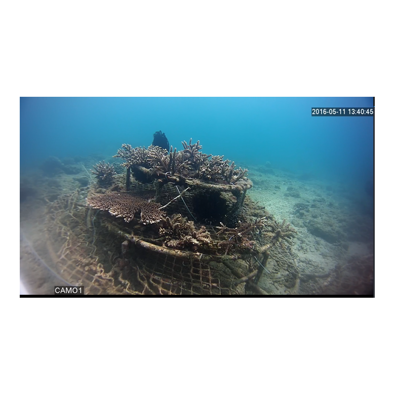 Vandtæt IP kamera, PoE, 1920x1080P, op til 10 meters dybde, H.264, H,265 - DANBIT A/S