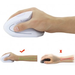 Hvid ergonomisk trådløs USB mus - DANBIT