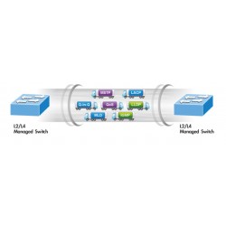 Gigabit Netværks Switch med 24 x RJ45 kobber og 4 x 10Gbps SFP. GS-5220-24T4XV