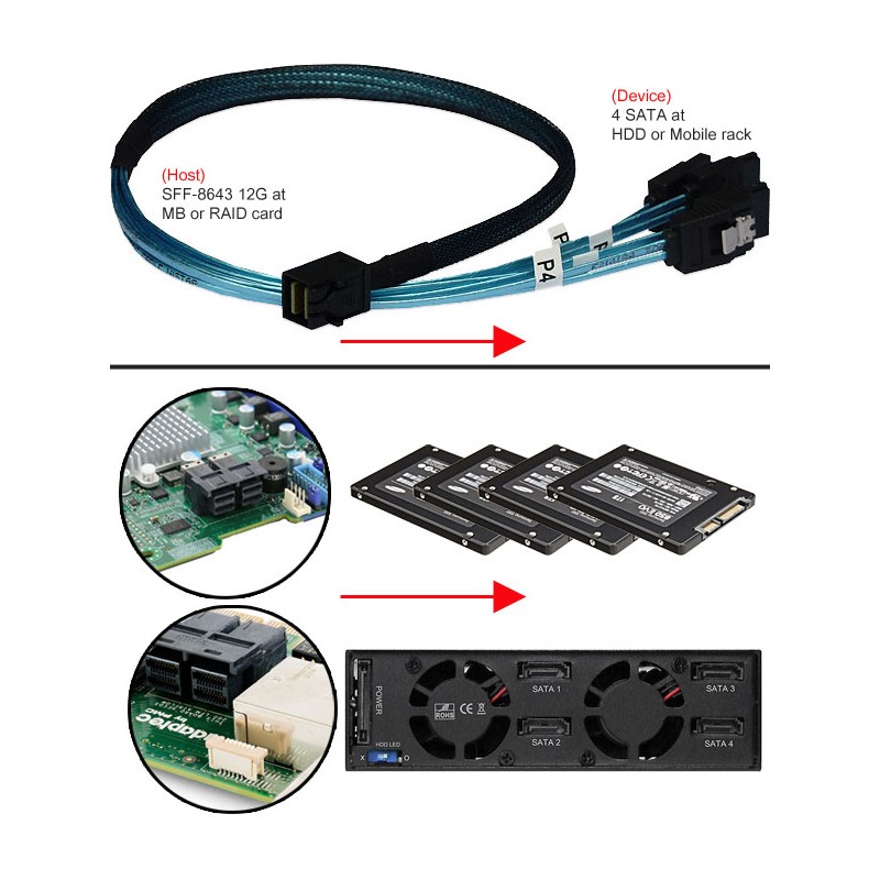 SFF-8643-4SATA Mini-SAS HD til 4 x SATA-kabel