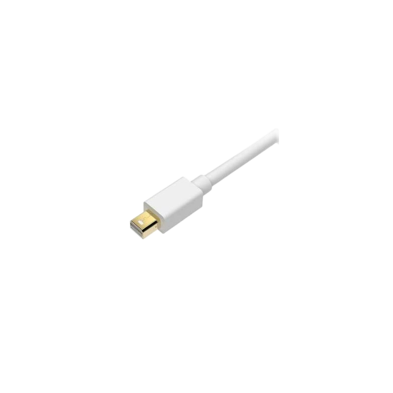 Mini DisplayPort to DVI Cable